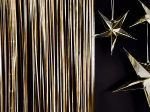 Gold Fringe Curtain