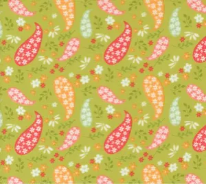 Raspberry Summer Lime 37691 17 Fabric
